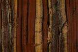 Polished Tiger Iron Slab - South Africa #357110-1